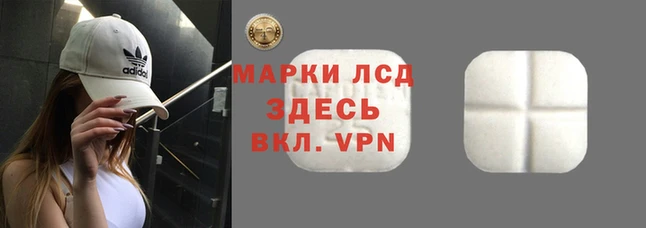 ALPHA-PVP Каменка